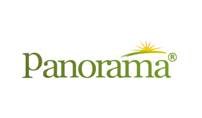 Panorama Realty